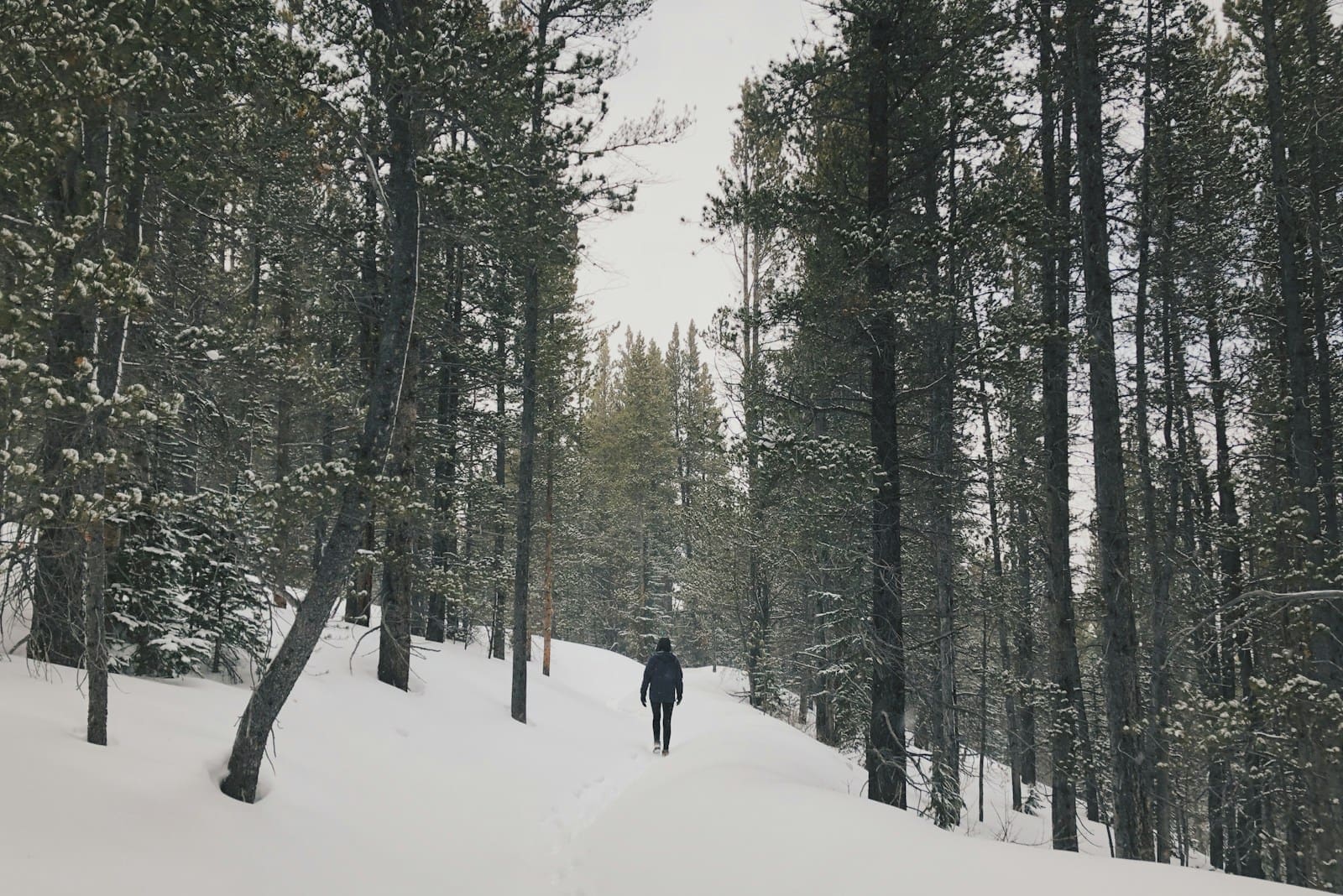 Photo by Jason Abdilla person in black jacket walking on snow getting their daily dose of Vitamin D