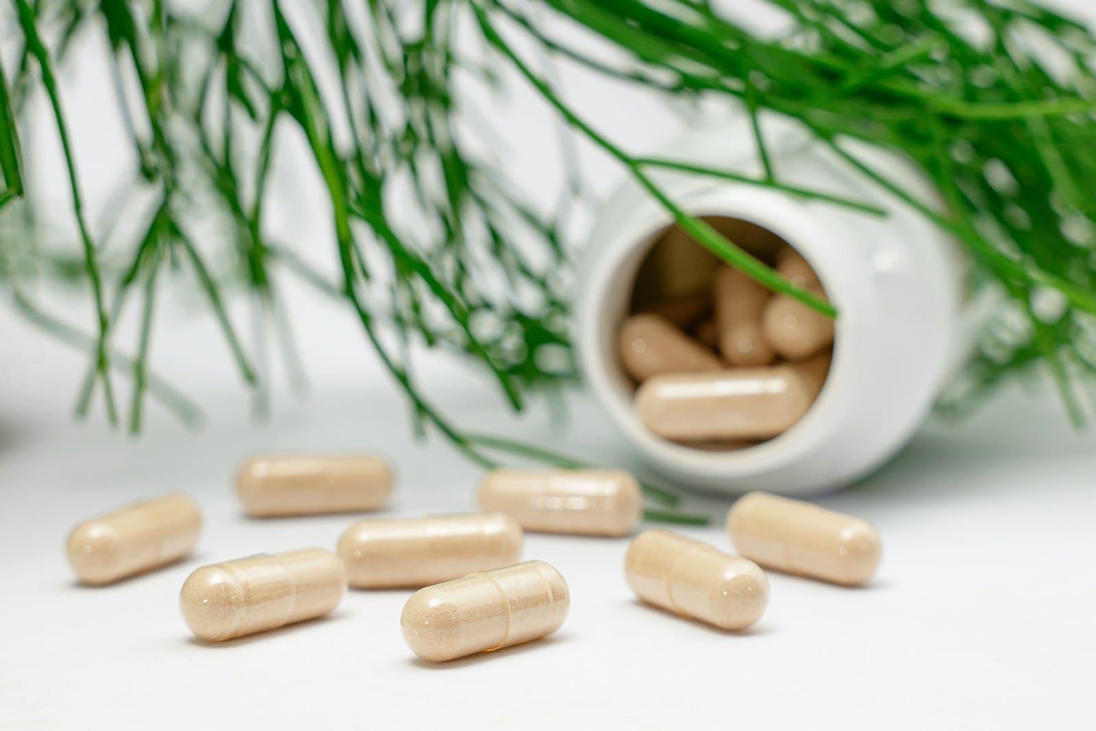 Photo by Supliful – Supplements On Demand a group of magnesium supplements and a plant