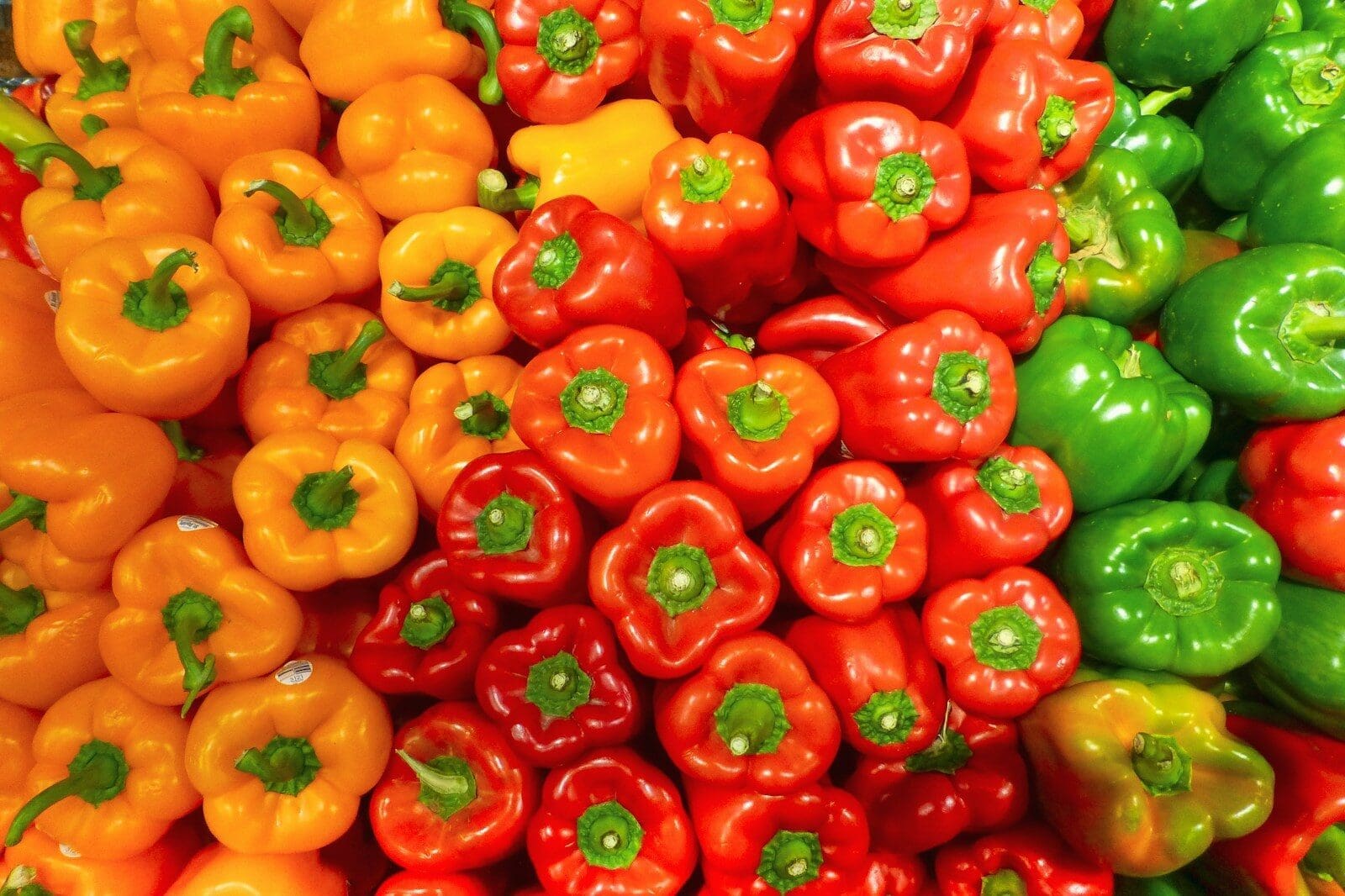 orange red and green bell peppers massed together, peppers are an excellent source of vitamin C